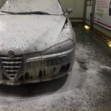 Borko147