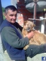 Илија Илић