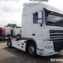 nikola